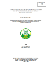 Image of GAMBARAN PENGETAHUAN IBU TENTANGPENCEGAHAN KARIES GIGI DI POSYANDUBUENG PAGEU BLANG BINTANG KABUPATEN ACEH BESAR