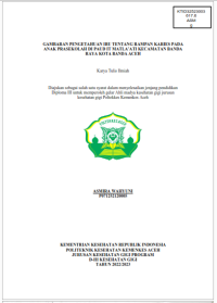 Image of GAMBARAN PENGETAHUAN IBU TENTANG RAMPAN KARIES PADA ANAK PRASEKOLAH DI PAUD IT MATLA’ATI KECAMATAN BANDA RAYA KOTA BANDA ACEH