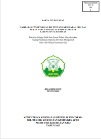 Image of GAMBARAN PENGETAHUAN IBU TENTANG KESEHATAN GIGI DAN MULUT PADA ANAK KELAS II SDN KAYEE LEE  KABUPATEN ACEH BESAR
