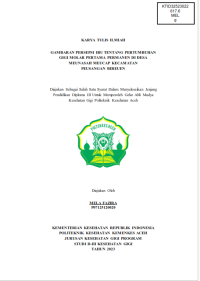 Image of GAMBARAN PERSEPSI IBU TENTANG PERTUMBUHAN GIGI MOLAR PERTAMA PERMANEN DI DESA MEUNASAH MEUCAP KECAMATAN PEUSANGAN BIREUEN