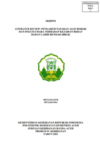 Image of LITERATUR REVIEW: PENGARUH PAPARAN ASAP ROKOK DAN POLUSI UDARA TERHADAP KEJADIAN BERAT BADAN LAHIR RENDAH (BBLR)