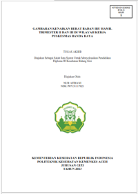 Image of GAMBARAN KENAIKAN BERAT BADAN IBU HAMIL TRIMESTER II DAN III DI WILAYAH KERJA PUSKESMAS BANDA RAYA