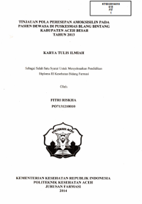 Image of Tinjauan Pola Peresepan Amoksisilin Pada Pasien Dewasa Di Puskesmas Blang Bintang Kabupaten Aceh Besar Tahun 2013
