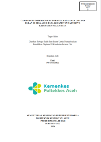 Image of GAMBARAN PEMBERIAN SUSU FORMULA PADA ANAK USIA 6-24 BULAN DI DESA ALUE BATA KECAMATAN TADU RAYA KABUPATEN NAGAN RAYA
