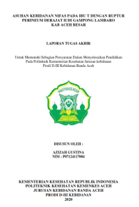 Image of ASUHAN KEBIDANAN NIFAS PADA IBU T DENGAN RUPTUR PERINEUM DERAJAT II DI GAMPONG LAMBARO KAB ACEH BESAR
