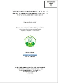 Image of ASUHAN KEBIDANAN PADA BAYI USIA (9 -11) BULAN NORMAL DI GAMPONG BINEH BLANG KECAMATAN INGIN JAYA KABUPATEN ACEH BESAR