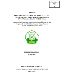 Image of PENGARUH PRAKTEK PENGASUHAN DAN STATUS GIZI IBU SELAMA HAMIL TERHADAP KEJADIAN STUNTING PADA BALITA DI PIDIE JAYA