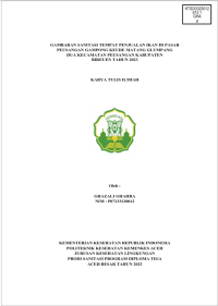 Image of GAMBARAN SANITASI TEMPAT PENJUALAN IKAN DI PASAR PEUSANGAN GAMPONG KEUDE MATANG GLUMPANG DUA KECAMATAN PEUSANGAN KABUPATEN 
BIREUEN TAHUN 2023