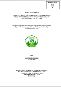 Image of GAMBARAN PENGETAHUAN REMAJA TENTANG KEBERSIHAN GIGI DAN MULUT DI GAMPONG TINGKEUM KECAMATAN  NISAM KABUPATEN ACEH UTARA