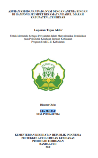 Image of ASUHAN KEBIDANAN PADA NY.M DENGAN ANEMIA RINGAN DI GAMPONG JEUMPET KECAMATAN DARUL IMARAH KABUPATEN ACEH BESAR