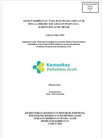 Image of ASUHAN KEBIDANAN  PADA BAYI M USIA 4 BULAN DI DESA LAMBARO  KECAMATAN INGIN JAYA  KABUPATEN ACEH  BESAR