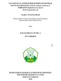 Image of UJI AKTIVITAS ANTIBAKTERI KOMBINASI EKSTRAK KULIT DAN BONGGOL NANAS(Ananas Comosus L) TERHADAP Staphylococcus Aureus DAN Escherichia Coli