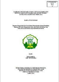 Image of GAMBARAN PENGETAHUAN SISWA TENTANG KARIES GIGI DITINJAU DARI STATUS KARIES GIGI DI SMP NEGERI 1 JANGKA BUYA KABUPATEN PIDIE JAYA