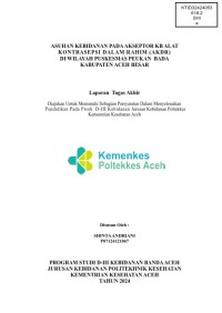 Image of ASUHAN KEBIDANAN PADA AKSEPTOR KB ALAT KONTRASEPSI DALAM RAHIM (AKDR) DI WILAYAH PUSKESMAS PEUKAN  BADA KABUPATEN ACEH BESAR