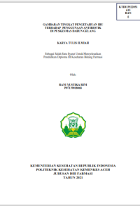 Image of GAMBARAN TINGKAT PENGETAHUAN IBU TERHADAP  PENGGUNAAN ANTIBIOTIK DI PUSKESMAS DABUN GELANG