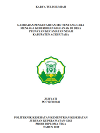 Image of GAMBARAN PENGETAHUAN IBU TENTANG CARA MENJAGA KEBERSIHAN GIGI ANAK DI DESA PEUNAYAN KECAMATAN NISAM KABUPATEN ACEH UTARA